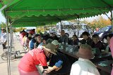 IMG029