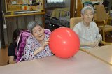 IMG005