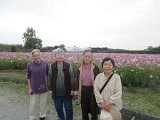 IMG009