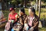 IMG017