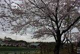 IMG022