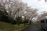 IMG025