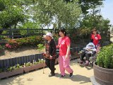 IMG065