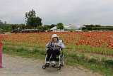 IMG155