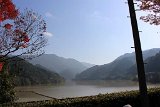 IMG003