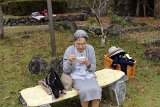 IMG043
