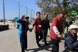 IMG009