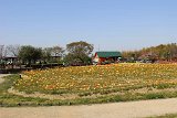 IMG019