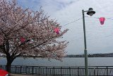 IMG021