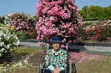 IMG032