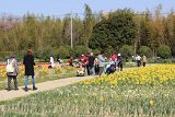 IMG017