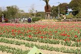 IMG022