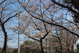 img033