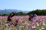 img008