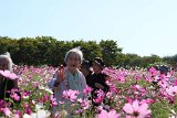 img010