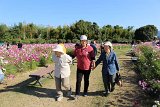 img031