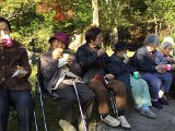 img031