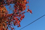 img043