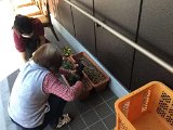img035