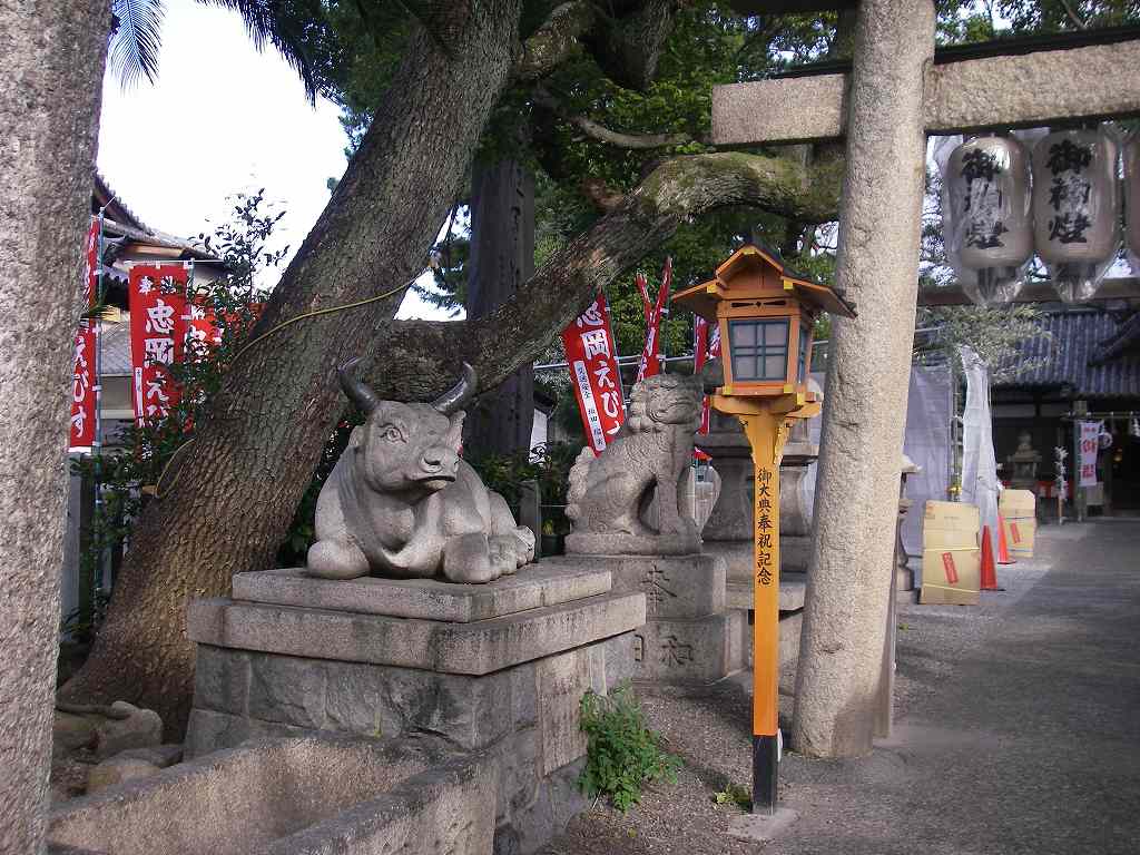 IMGP003s.jpg