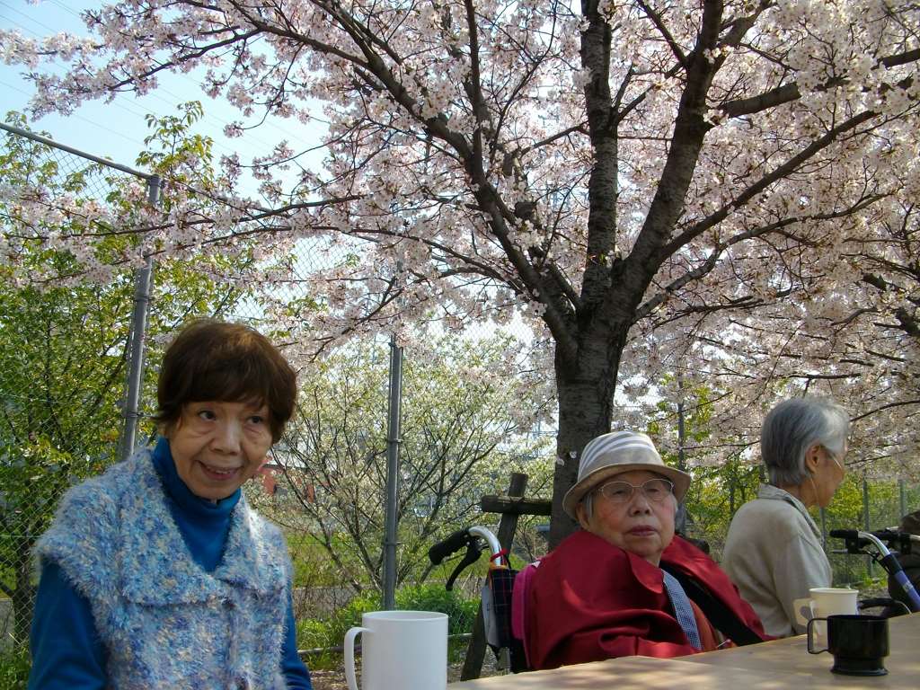 IMG036.jpg