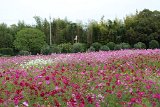 IMG015