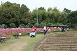 IMG016